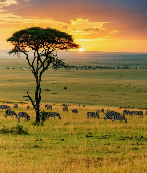 Serengeti National Park